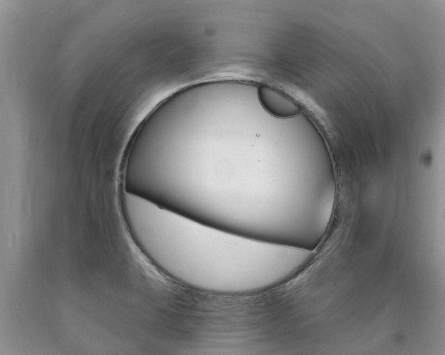 X0000090771423200707201105