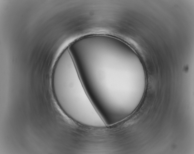 X0000090771424200707201105