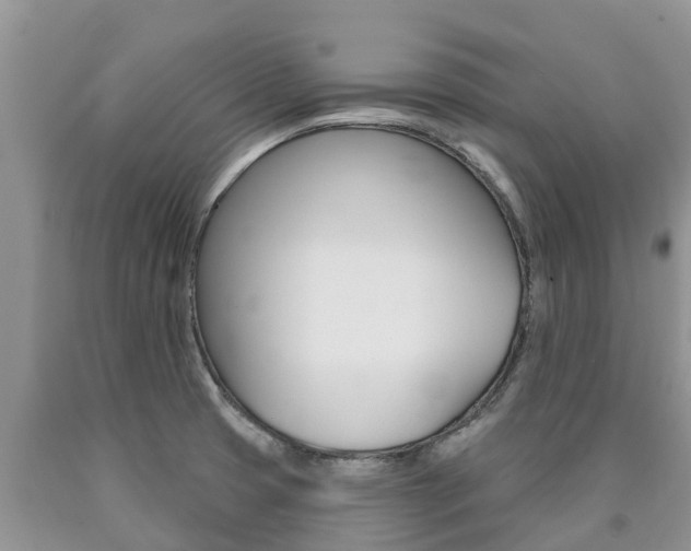 X0000090771425200707201105