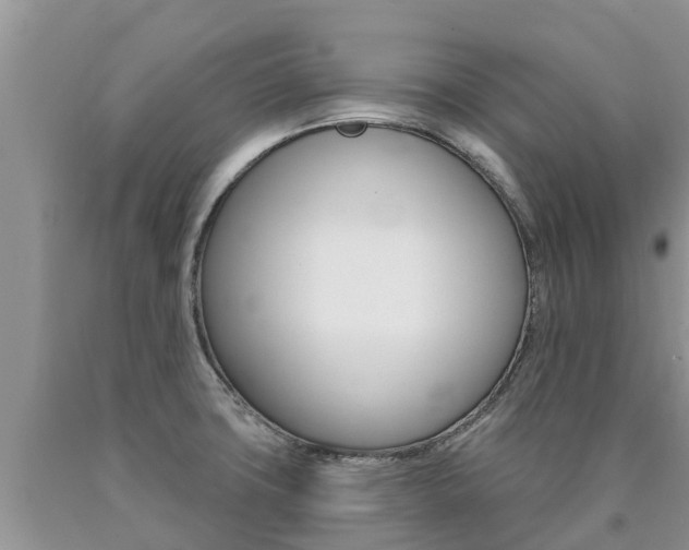X0000090771427200707201105