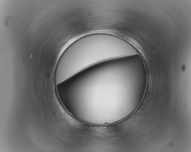 X0000090771428200707201105