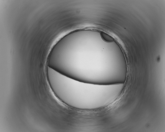 X0000090771429200707201105
