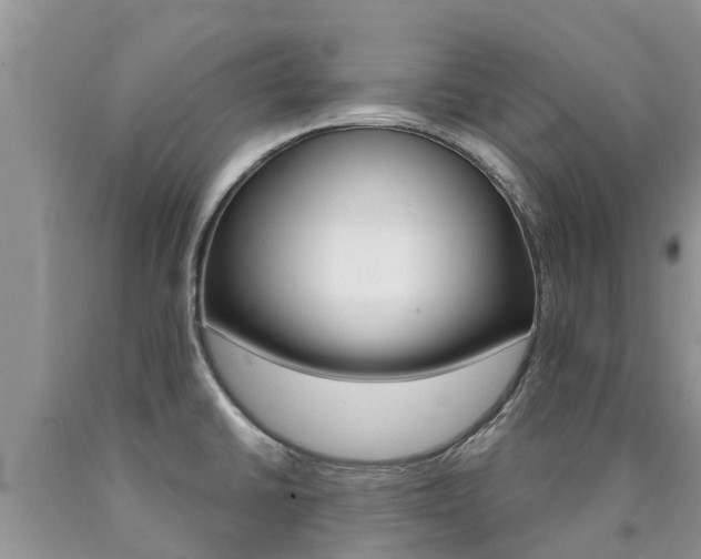 X0000090771430200707201105