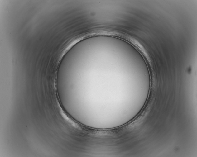 X0000090771433200707201105