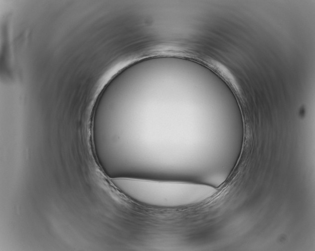 X0000090771435200707201105