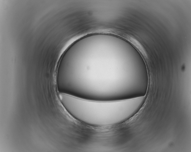 X0000090771436200707201105