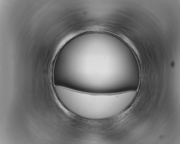 X0000090771437200707201105