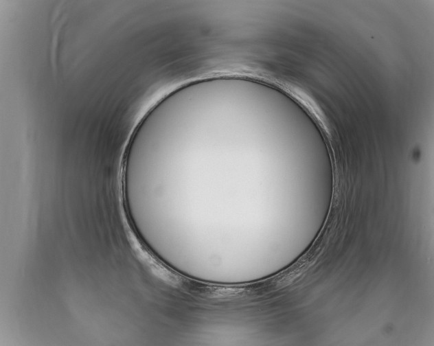 X0000090771439200707201105