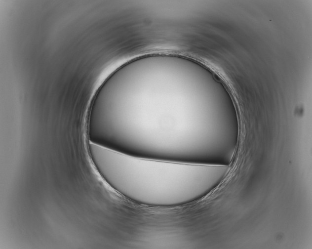 X0000090771440200707201105