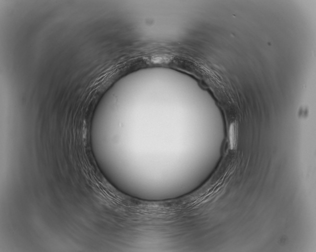 X0000090771443200707201104