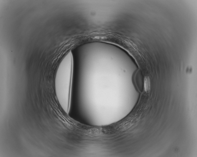 X0000090771444200707201104