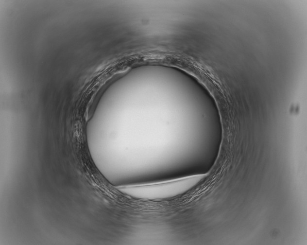 X0000090771445200707201104