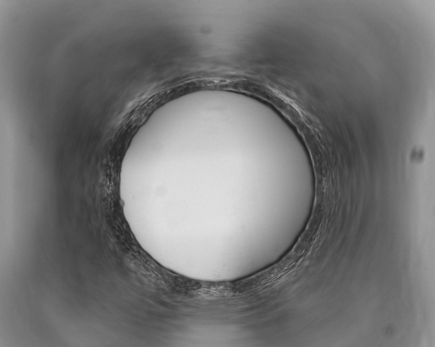 X0000090771447200707201104