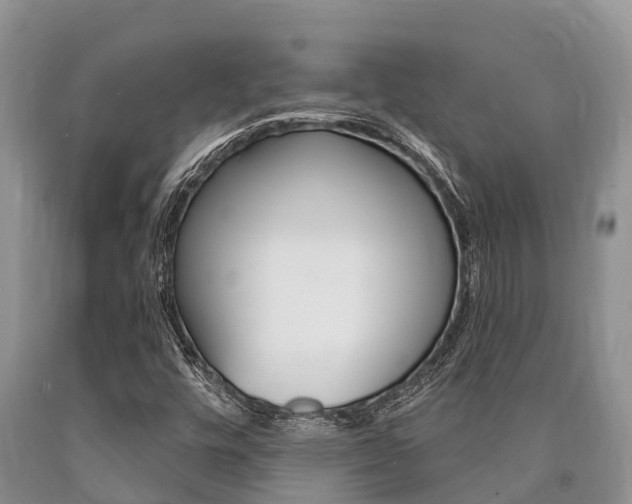 X0000090771448200707201104