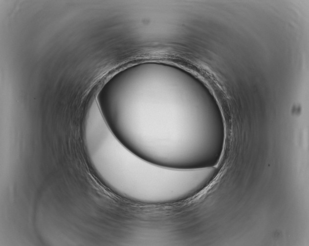 X0000090771449200707201104