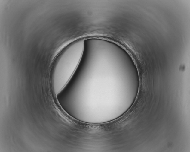 X0000090771452200707201104
