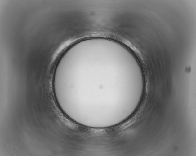 X0000090771454200707201104
