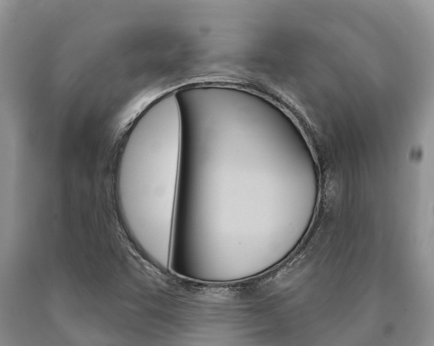 X0000090771455200707201104