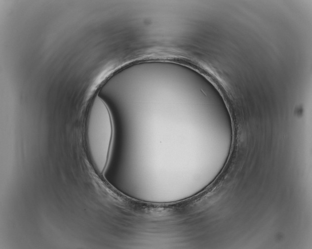 X0000090771459200707201104