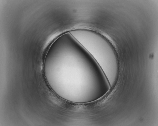 X0000090771461200707201104