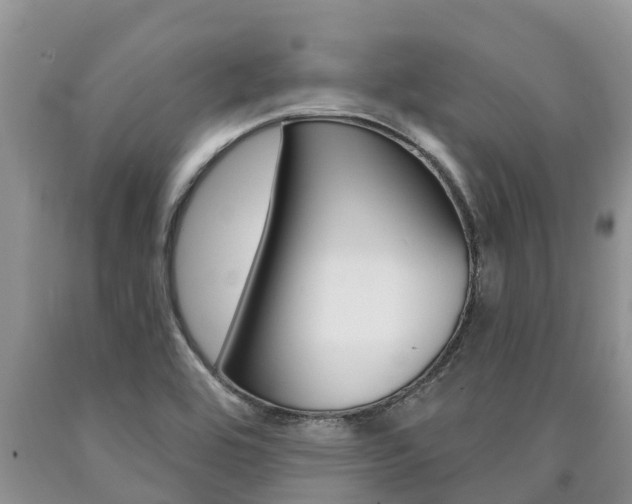 X0000090771464200707201104