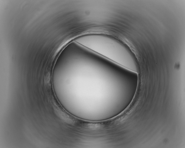 X0000090771465200707201104
