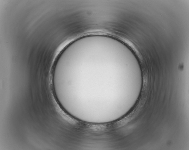 X0000090771466200707201104