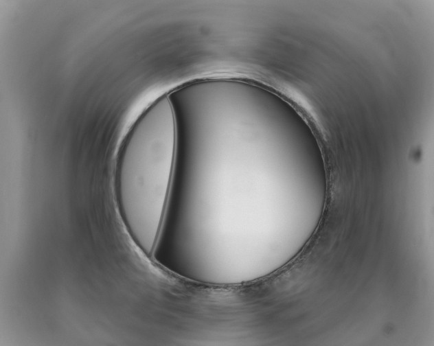 X0000090771472200707201104