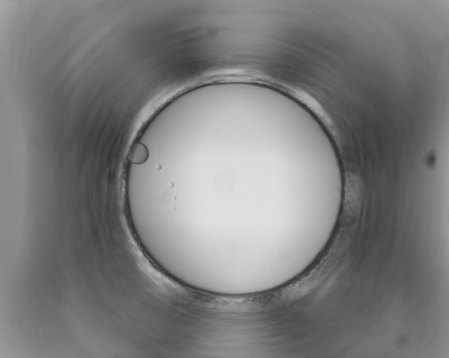 X0000090771474200707201104