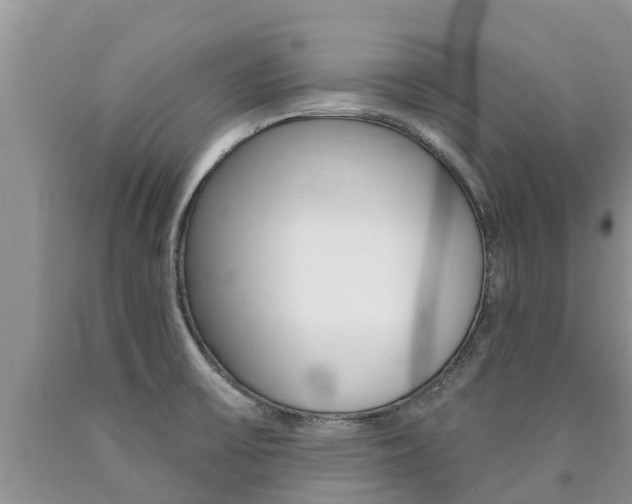 X0000090771475200707201104