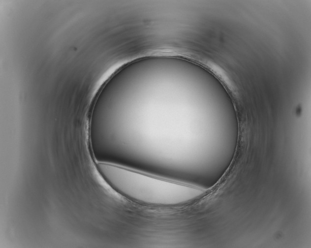 X0000090771476200707201104