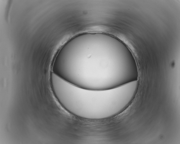 X0000090771477200707201104