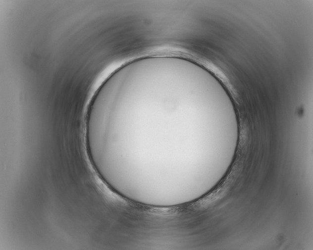 X0000090771478200707201104