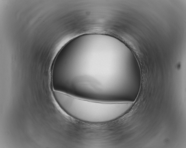 X0000090771479200707201104