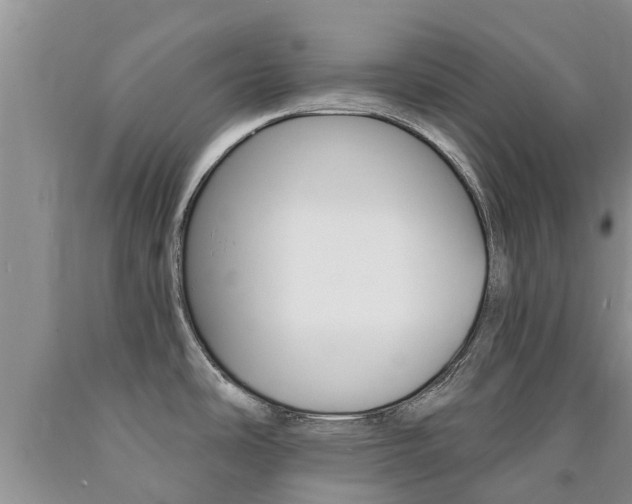 X0000090771486200707201104