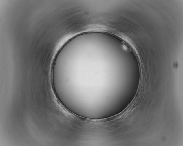 X0000090771488200707201104