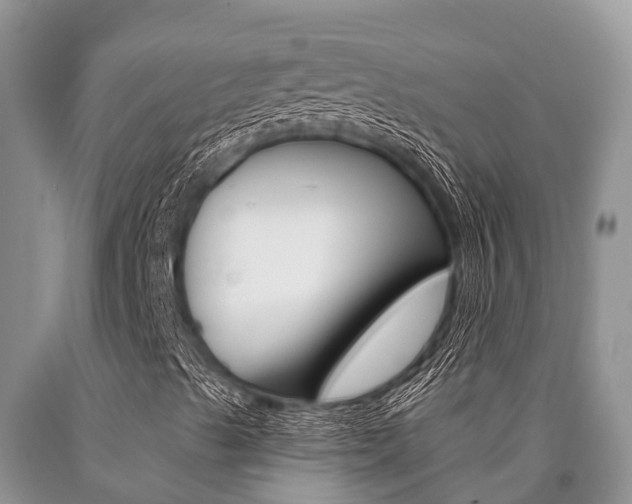 X0000090771489200707201103