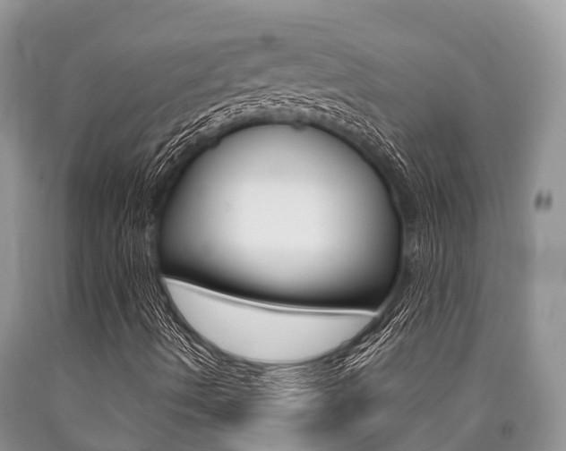 X0000090771490200707201103