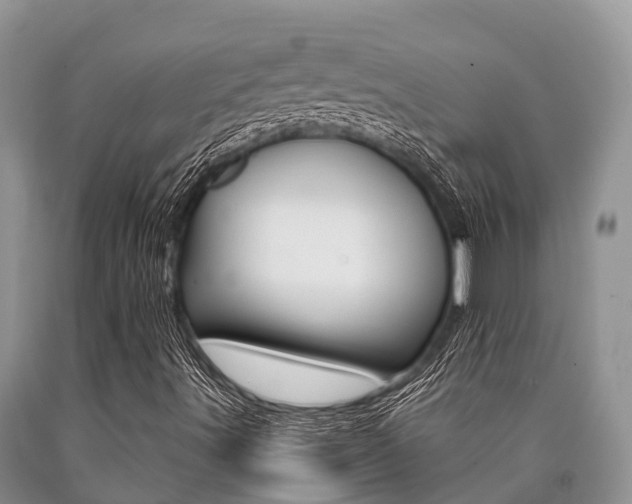 X0000090771491200707201103