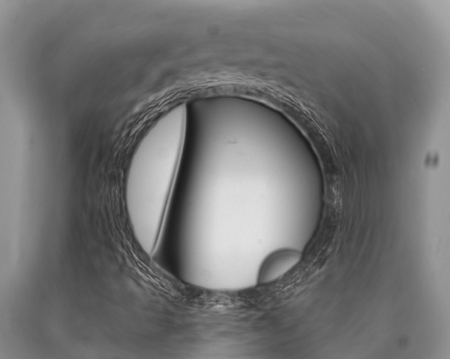 X0000090771493200707201103