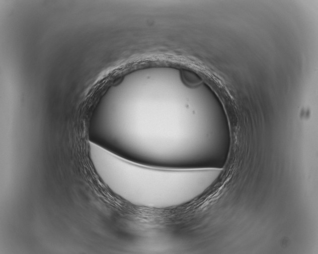 X0000090771494200707201103