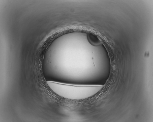 X0000090771495200707201103
