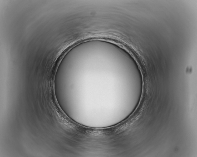 X0000090771497200707201103