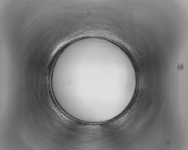 X0000090771498200707201103