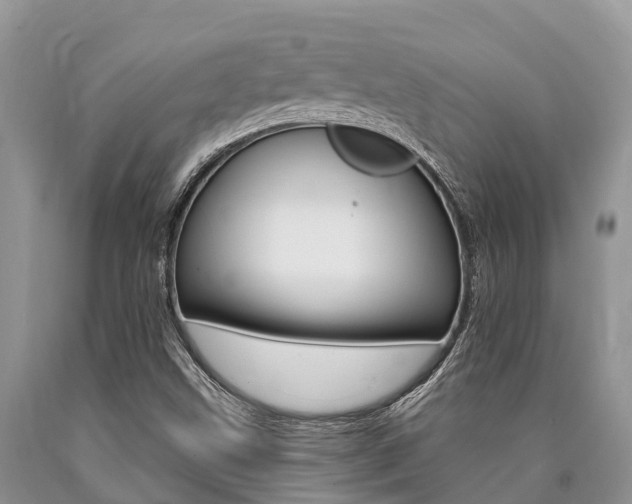 X0000090771499200707201103