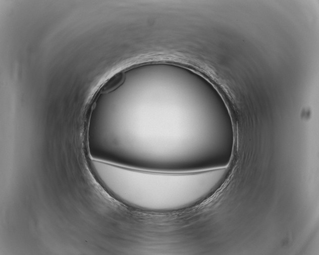 X0000090771500200707201103