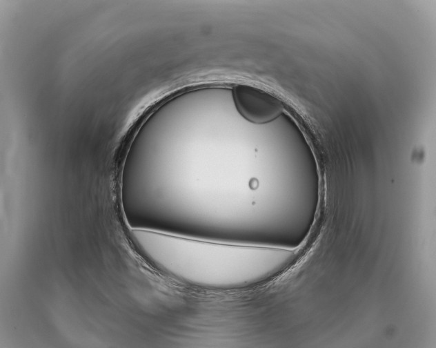 X0000090771501200707201103