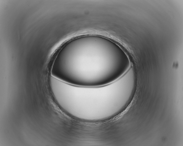 X0000090771502200707201103