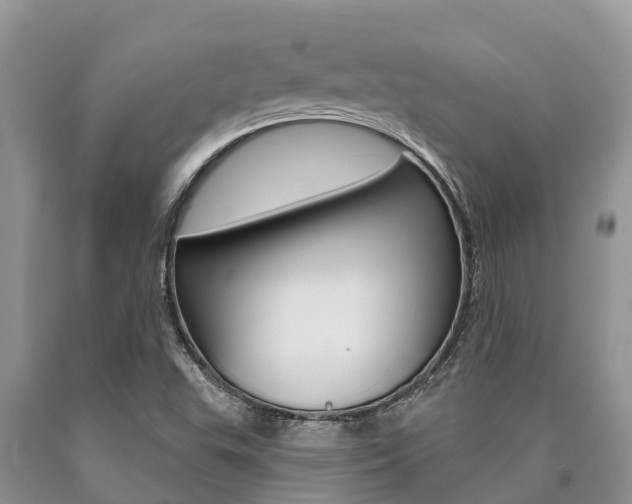 X0000090771503200707201103