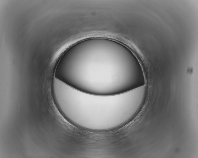 X0000090771504200707201103